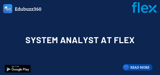 System Analyst at Flex