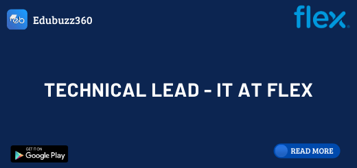 Technical Lead - IT at Flex