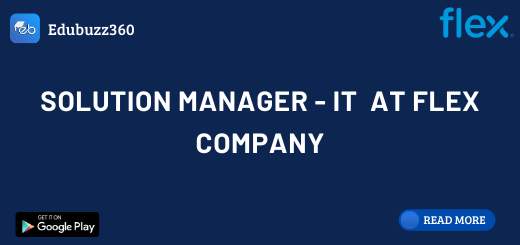Solution Manager - IT at Flex Company
